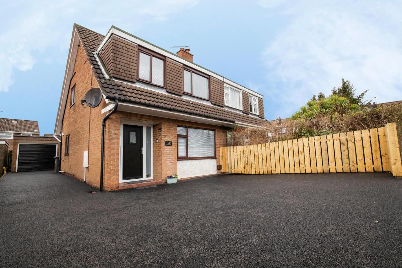 Elegant Home Mod Kitchen, Fast Wi-Fi, Free Parking Carrickfergus Esterno foto