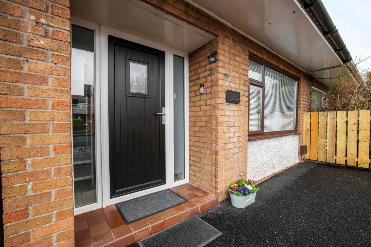 Elegant Home Mod Kitchen, Fast Wi-Fi, Free Parking Carrickfergus Esterno foto